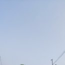 항도청과 이미지