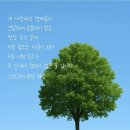 삼위일체주일: 교리를 기억하는 유일한 날 이미지