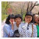 말투스 이미지