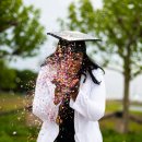 직업상담사 2급 자격증 통합과정 이미지