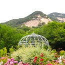 장미정원 이미지