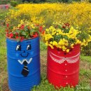 기장군농업기술센터 | 부산 경남 핑크뮬리 해바라기 가을명소, 기장 광산마을 경관농업단지