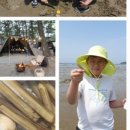 몽산포감성캠핑장 이미지