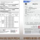 에브리데이 펫 이미지