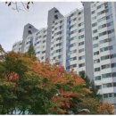 해온공인중개사사무소 이미지