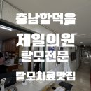 제일의원 - 하남시 하남대로 843 | [병원]당진 합덕 탈모병원 제일의원 후기, 10년 넘게 다닌 이유, 전국에서 찾는 탈모 성지