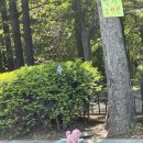 스피드메이트 탄현점 이미지