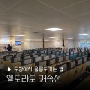 엘도라도 | 포항에서 울릉도 가는법 엘도라도 쾌속선 금액 시간 배멀미 후기 여객터미널 배편