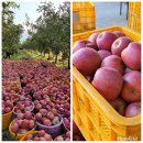 모싯골농장 이미지