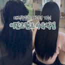 지아 애견샵 | 수유역미용실 유지력 좋은 헤어클리닉 잘하는곳 - 어반트랜드 수유역점 (주차가능)