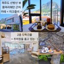 꼬마애견샵 | 제주도 산방산 용머리해안 근처 맛집 카페 추천 &lt;미크즐리&gt; 내돈내산