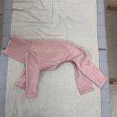 복동화옷수선 | [복쓰리옷공장] 이탈리안 그레이하운드(아이쥐) 맞춤...강아지옷 리폼!어떻게 해?아이쥐옷 리폼 후기