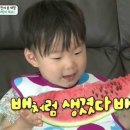 수박헤어