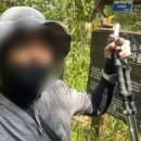 인곡리도로변 이미지