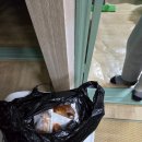 파리바게트(재송점) 이미지