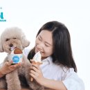 리얼스토어