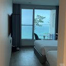 경포마레 이미지