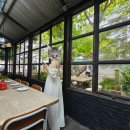 상성농장 | [방콕/태국] 오믈렛 여행 4