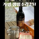 캠핑소리251 | 가평 캠핑소리251 애견동반 가능 캠핑장 추천