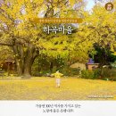 하곡경로당 이미지