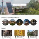 (주)라이브투어 이미지