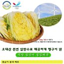 강원 평창고냉지 꽃순이절임배추 (10kg:23,000원 / 20kg : 39,000원) 주문받아요 이미지