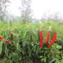 자원농장 이미지