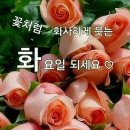 1월.25일.화요일 간추린 뉴스 이미지