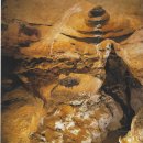 문명(20) - 라스코 동굴 이미지