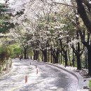 “군주, 선인도 악인도 될 줄 알아야”(1-2) ~ 홍영식 이미지
