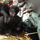 아기곰스튜디오 이미지