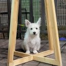 의성동물병원 이미지