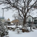 첫눈이네집 이미지