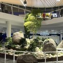 G00160 | [북유럽] 핀란드🇫 7박 9일-1일 차