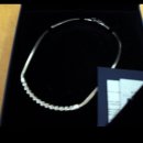 샤로브냐 이미지