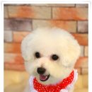 안녕하세요 이미지