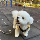 가야유치원 이미지