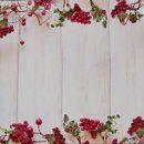 새봄요양병원 | 믿을 수 있는 용산구 추천 요양원 새봄간호요양센터 용산구 요양원 추천