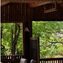 감자와 스무디 이미지