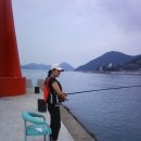 작금민박 이미지