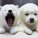 제이제이성형외과의원 이미지