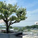 파우PC방 이미지