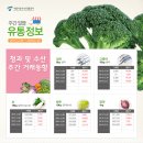 (주)소망유통