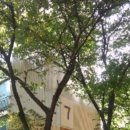 시영아파트7동