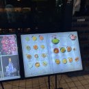 용용선생 제주연동점 <b>연동</b>술집 연동중국술집 "<b>용용</b><b>선생</b> <b>제주</b><b>연동점</b>"에서 드디어 마라훠궈 먹은 후기