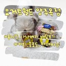 요거트월드 양주옥정점
