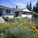 사연동로 이미지