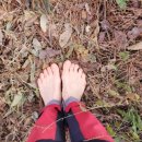 임곡회식당 이미지