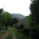 소광리민박 이미지