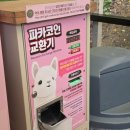 강원파크 | [강원 홍천] #2 *알파카월드 후기 | 비발디파크 1박 코스